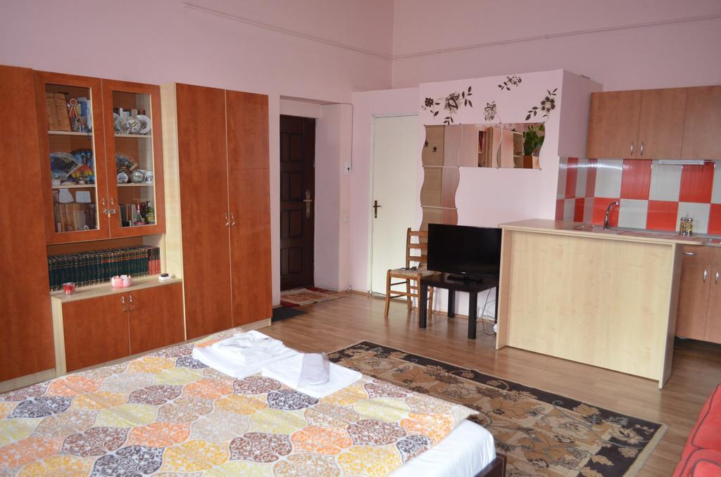 Appartement Cosy Studio à Cluj-Napoca Extérieur photo